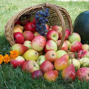 Preview wallpaper apples, basket, grass