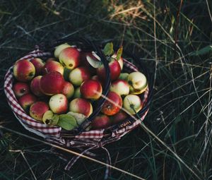 Preview wallpaper apples, basket, harvest, grass