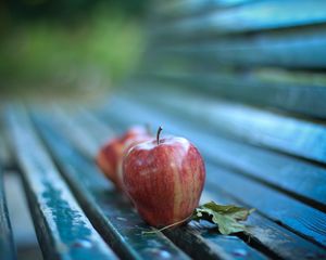 Preview wallpaper apples, bench, leaves