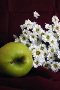 Preview wallpaper apples, daisies, flowers, fruits