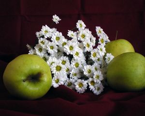 Preview wallpaper apples, daisies, flowers, fruits