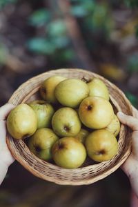 Preview wallpaper apples, fruit, bowl