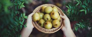 Preview wallpaper apples, fruit, bowl