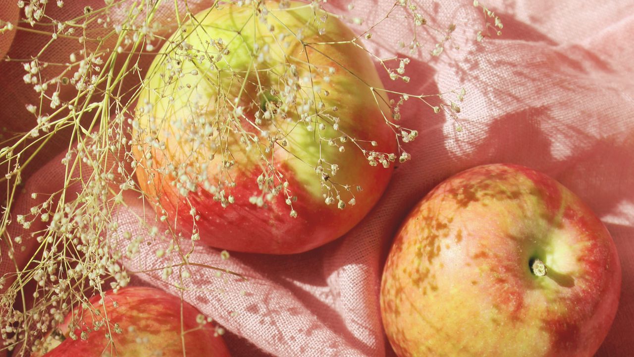 Wallpaper apples, fruit, branch, fabric, pink