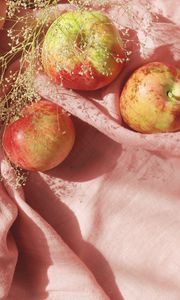 Preview wallpaper apples, fruit, branch, fabric, pink