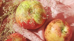 Preview wallpaper apples, fruit, branch, fabric, pink