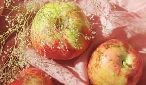Preview wallpaper apples, fruit, branch, fabric, pink
