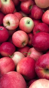 Preview wallpaper apples, fruit, drops, harvest, red