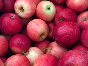 Preview wallpaper apples, fruit, drops, harvest, red