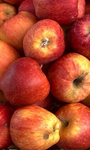 Preview wallpaper apples, fruit, fresh, ripe, red