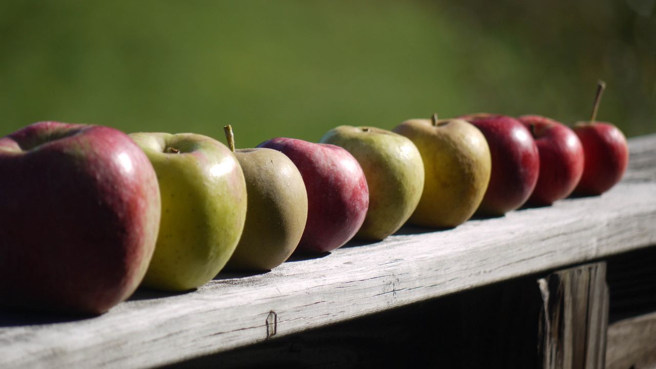 Wallpaper apples, fruit, fresh, fence
