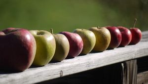 Preview wallpaper apples, fruit, fresh, fence