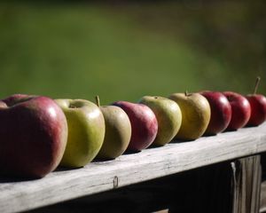Preview wallpaper apples, fruit, fresh, fence