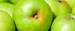 Preview wallpaper apples, fruit, green