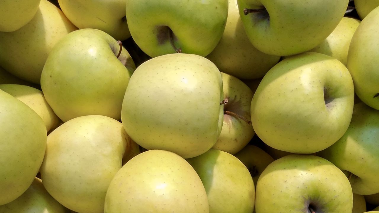 Wallpaper apples, fruit, green, harvest