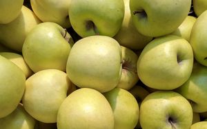 Preview wallpaper apples, fruit, green, harvest