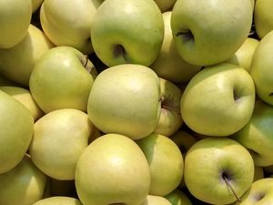 Preview wallpaper apples, fruit, green, harvest