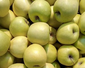 Preview wallpaper apples, fruit, green, harvest