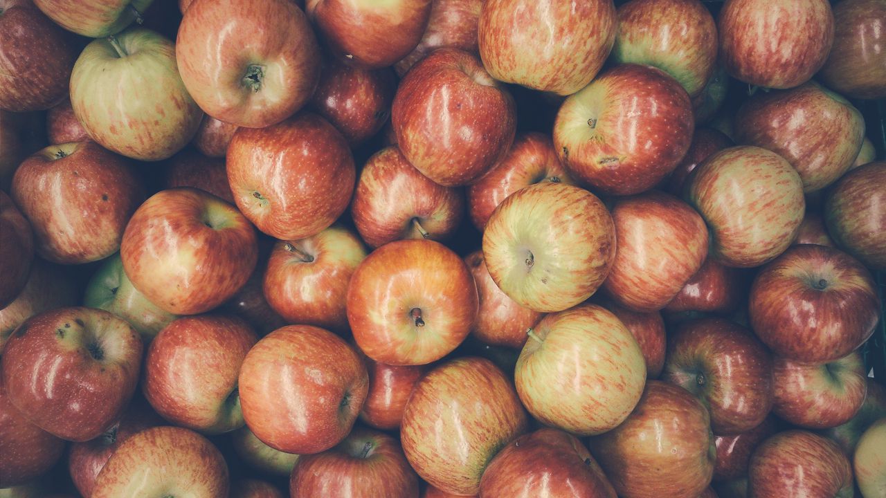 Wallpaper apples, fruit, harvest, ripe