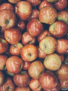 Preview wallpaper apples, fruit, harvest, ripe