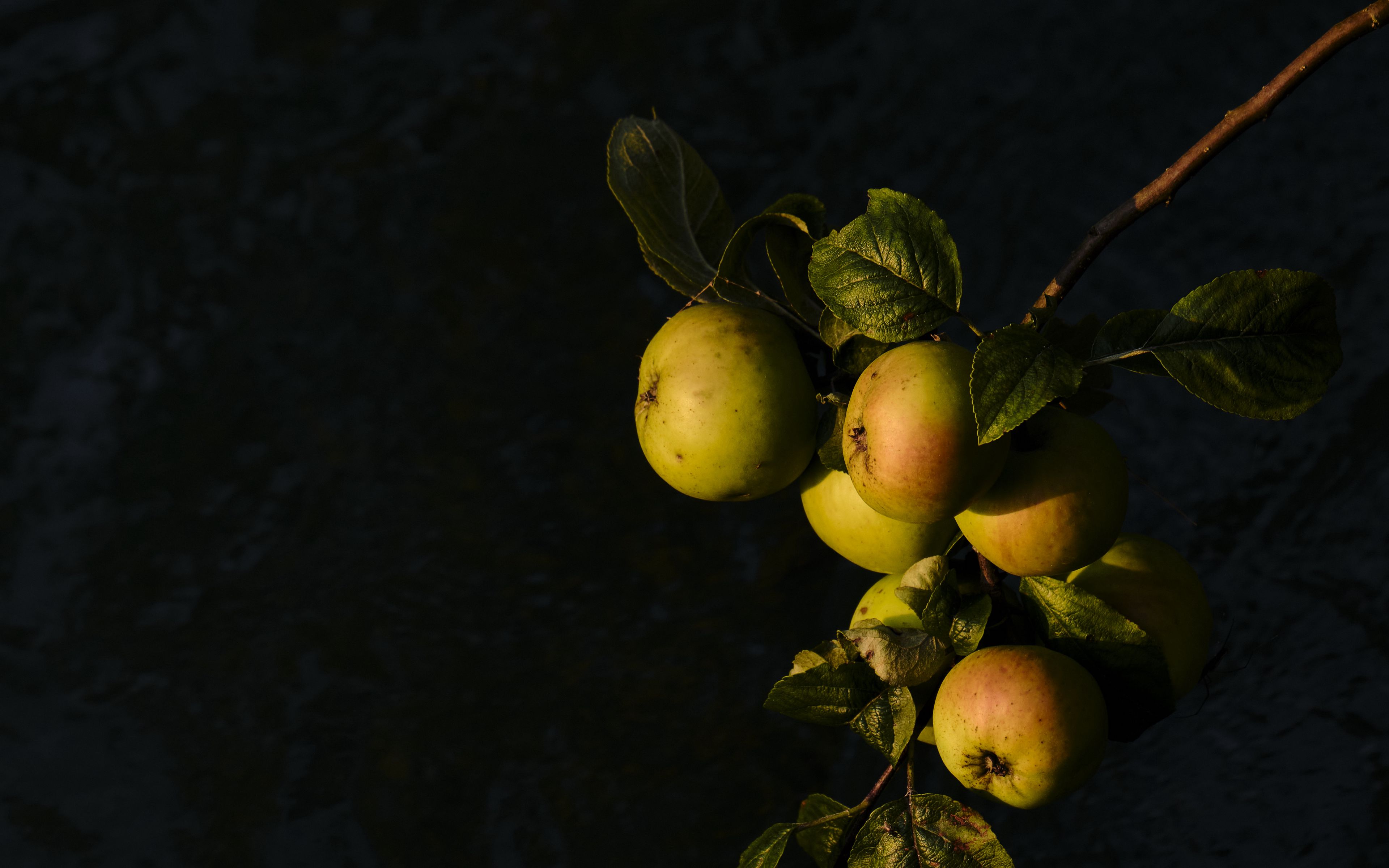 Download wallpaper 3840x2400 apples, fruit, leaves, branch 4k ultra hd ...