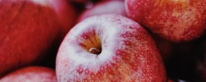 Preview wallpaper apples, fruit, red