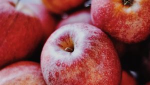 Preview wallpaper apples, fruit, red