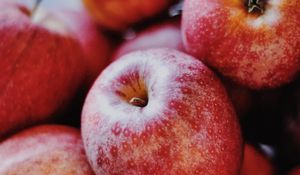 Preview wallpaper apples, fruit, red