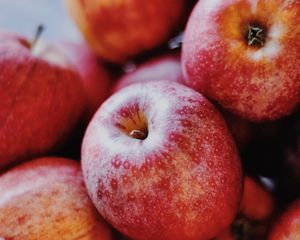 Preview wallpaper apples, fruit, red