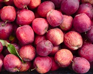 Preview wallpaper apples, fruit, red, harvest