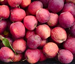 Preview wallpaper apples, fruit, red, harvest