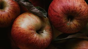 Preview wallpaper apples, fruit, red, leaves