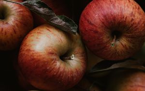 Preview wallpaper apples, fruit, red, leaves