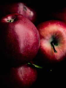 Preview wallpaper apples, fruit, red, ripe