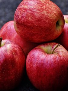 Preview wallpaper apples, fruit, ripe, eating