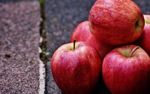 Preview wallpaper apples, fruit, ripe, eating