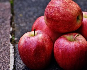 Preview wallpaper apples, fruit, ripe, eating