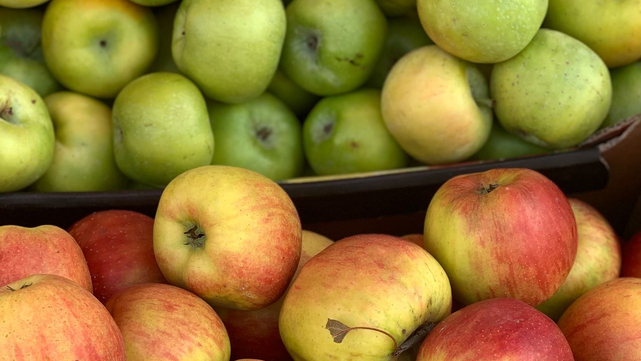 Wallpaper apples, fruit, shades