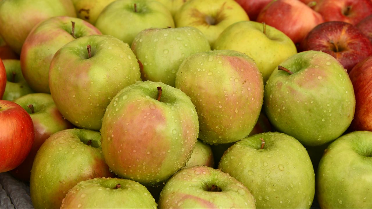 Wallpaper apples, fruits, drops, wet