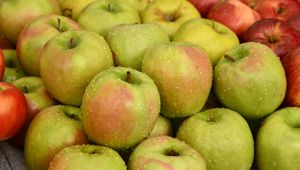 Preview wallpaper apples, fruits, drops, wet