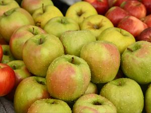 Preview wallpaper apples, fruits, drops, wet