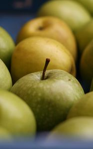 Preview wallpaper apples, fruits, green, macro