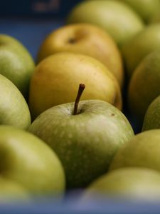 Preview wallpaper apples, fruits, green, macro