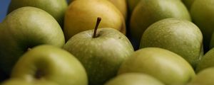 Preview wallpaper apples, fruits, green, macro