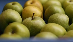 Preview wallpaper apples, fruits, green, macro