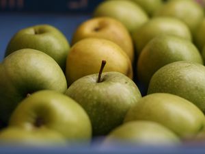 Preview wallpaper apples, fruits, green, macro