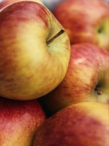 Preview wallpaper apples, fruits, macro