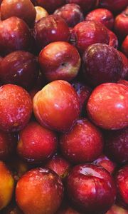 Preview wallpaper apples, fruits, red, wet