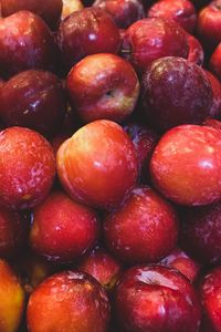 Preview wallpaper apples, fruits, red, wet