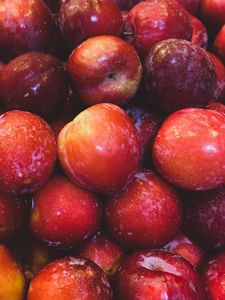 Preview wallpaper apples, fruits, red, wet